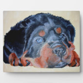 Plaque Photo Rottweiler Chiot Artistique Portrait pour Animaux (Devant)