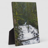 Plaque Photo Runoff from Bridal Veil Falls (Côté)