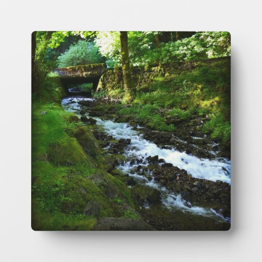 Plaque Photo Runoff from Wahkeena Falls (Devant)