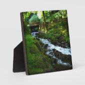 Plaque Photo Runoff from Wahkeena Falls (Recto)