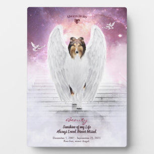 Plaque Photo Sable Collie Angel au Ciel - Photo de souvenir d'a