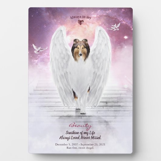 Plaque Photo Sable Collie Angel au Ciel - Photo de souvenir d'a (Devant)