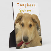 Plaque Photo Sagesse d'or : Une vision oeil de chien de l'école (Côté)