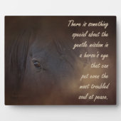 Plaque Photo Sagesse douce dans l'oeil d'un cheval (Devant)