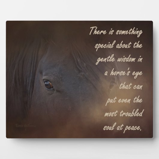 Plaque Photo Sagesse douce dans l'oeil d'un cheval (Devant)