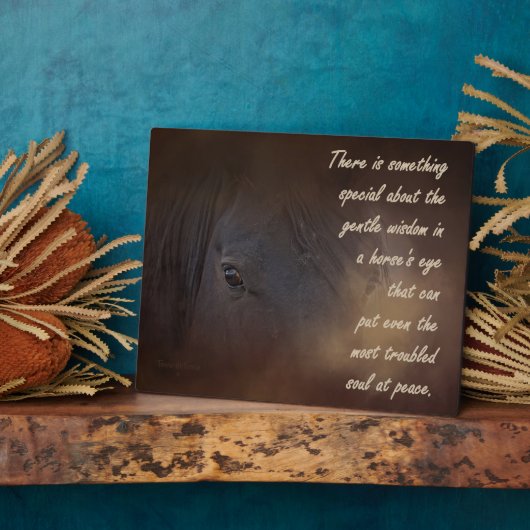 Plaque Photo Sagesse douce dans l'oeil d'un cheval (Côté)