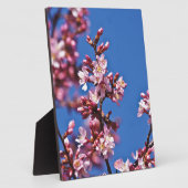 Plaque Photo Sakura Cerry Blossoms Touché Bleu (Côté)