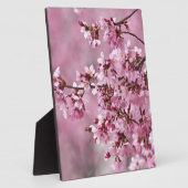 Plaque Photo Sakura Cherry Blossoms Pastel Pink Layers (Côté)