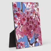 Plaque Photo Sakura Cherry Blossoms Red Stars (Côté)