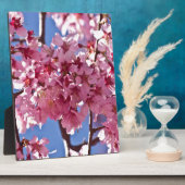 Plaque Photo Sakura Cherry Blossoms Red Stars (Côté)