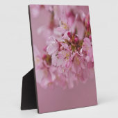 Plaque Photo Sakura Cherry Blossoms rose pâle Réflexions (Côté)