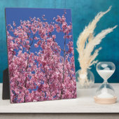 Plaque Photo Sakura Cherry Fleurit Dans Le Bleu (Côté)