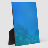 Plaque Photo Scène Arrière - plan sous-marine (Côté)