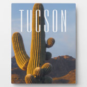 Plaque Photo Scène Sunlit Saguaro Tucson (Devant)