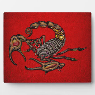 Plaque Photo Scorpion