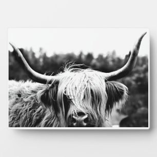Plaque Photo Scottish Highland Cow Noir et blanc Rustique Boho
