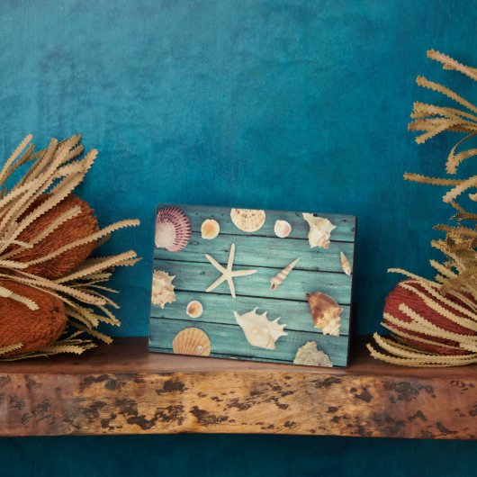 Plaque Photo Sélection Des Coquillages (Côté)