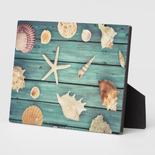 Plaque Photo Sélection Des Coquillages (Côté)