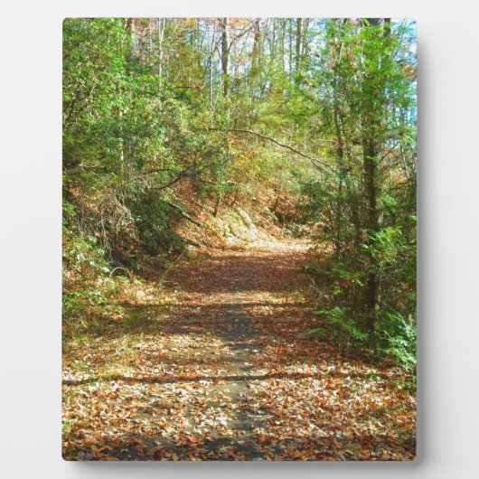Plaque Photo Sentier forestier d'automne éclairé (Devant)