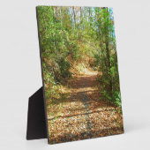 Plaque Photo Sentier forestier d'automne éclairé (Côté)