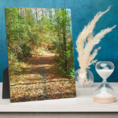 Plaque Photo Sentier forestier d'automne éclairé (Côté)