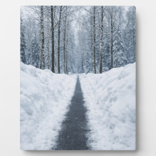 Plaque Photo Sentier forestier hivernal brumeux Affiche de pays
