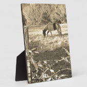 Plaque Photo Sepia ton cheval Brown et clôture (Côté)