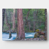 Plaque Photo Sequoias & Merced River Yosemite National Park, CA (Devant)