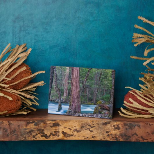 Plaque Photo Sequoias & Merced River Yosemite National Park, CA (Côté)