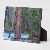 Plaque Photo Sequoias & Merced River Yosemite National Park, CA (Côté)