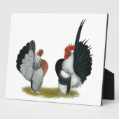 Plaque Photo Serama Bantams (Côté)