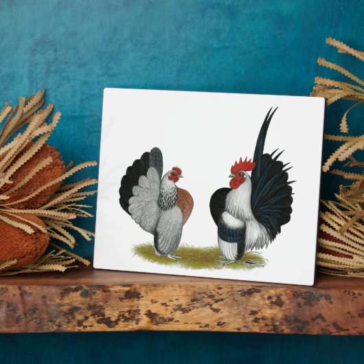 Plaque Photo Serama Bantams (Côté)