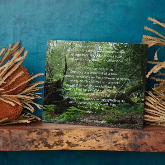 Plaque Photo Sérénité Prière Nature (Côté)