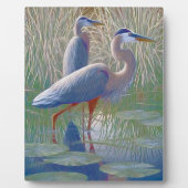 Plaque Photo serrure de fenêtre (Devant)