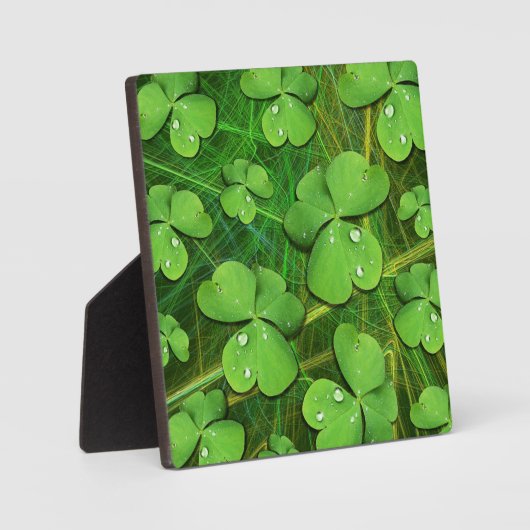 Plaque Photo Shamrock vert St Patrick iPhone 5 Coque-Mate (Recto)