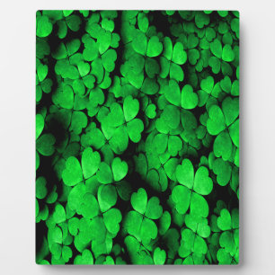 Plaque Photo Shamrocks and Hearts Saint Patrick's Day Green