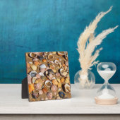 Plaque Photo Shells On A Sandy Beach | Andalusia, Spain (Insitu)