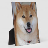 Plaque Photo Shiba inu (Côté)