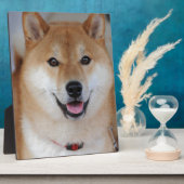 Plaque Photo Shiba inu (Côté)
