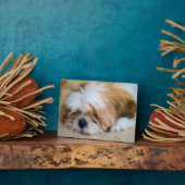 Plaque Photo Shih Tzu (Côté)