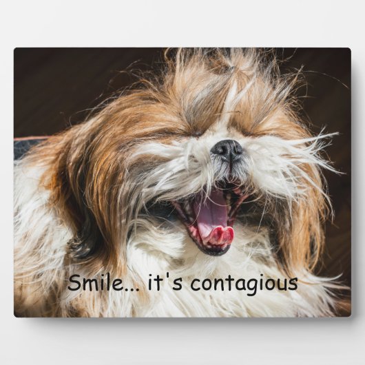 Plaque Photo Shih tzu yawning laughing smile text customize (Devant)
