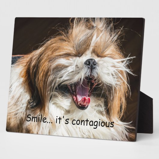 Plaque Photo Shih tzu yawning laughing smile text customize (Côté)
