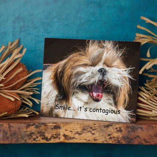 Plaque Photo Shih tzu yawning laughing smile text customize (Côté)