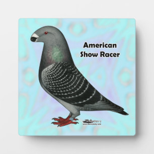 Plaque Photo Show Racer ASR