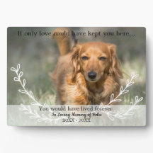 Si l'amour seul personnifié chien mémorial garde p