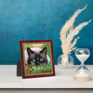 Plaque Photo Siamese Cat Pet Memorial Photo