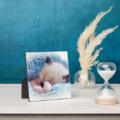 Plaque Photo Siamese Kitten Paws dormant (Insitu)