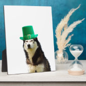 Plaque Photo Sibérien Husky Chien Saint Patrick jour (Côté)