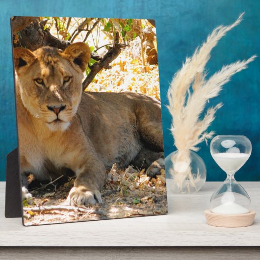 Plaque Photo Siesta Time (Côté)