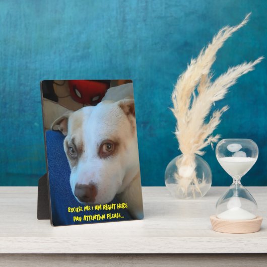 PLAQUE PHOTO SIGNE POUSSIÈRE POUPET (Côté)